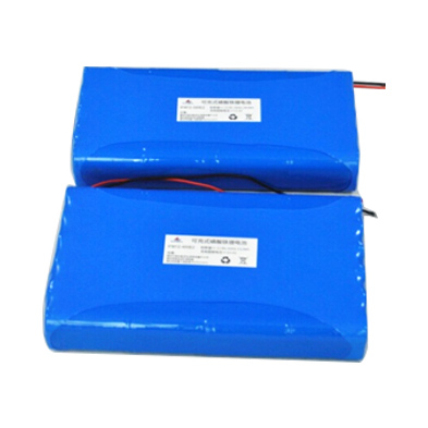 LiFePO4 Battery